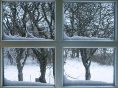 Fenster Winter