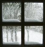 Fenster Winter